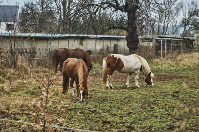 Hier kann man abseits des Großstadttrubels leben