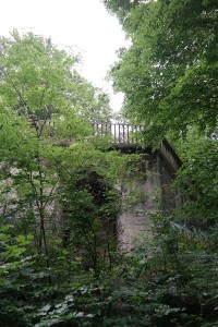 Wolfshügelturm auf dem Wolfshügel der Dresdner Heide