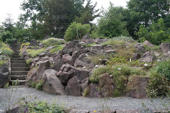 Botanischer Garten in Dresden