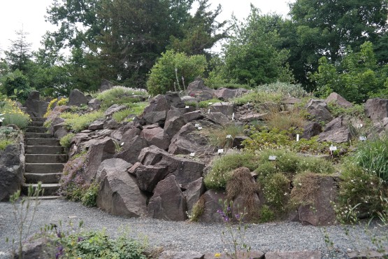 Alpinum im Botanischen Garten