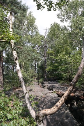 Blick zurück auf dem Langen Horn